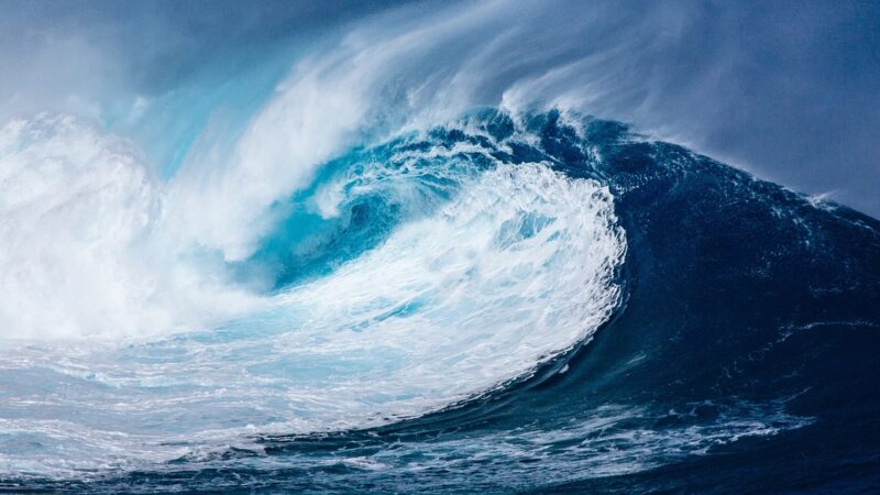 wave, ocean, sea-1913559.jpg